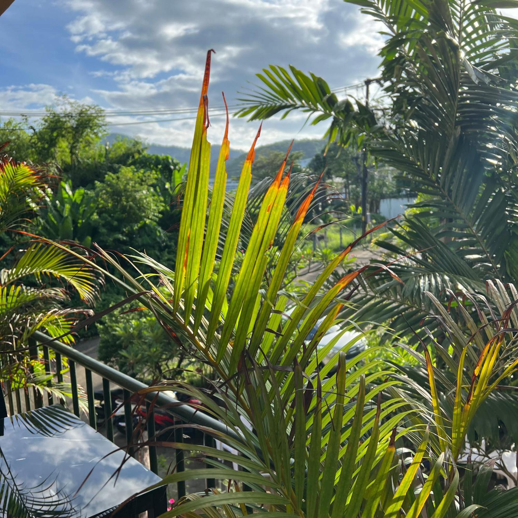 Kata Villa Merit Hill Bungalows Karon Eksteriør bilde